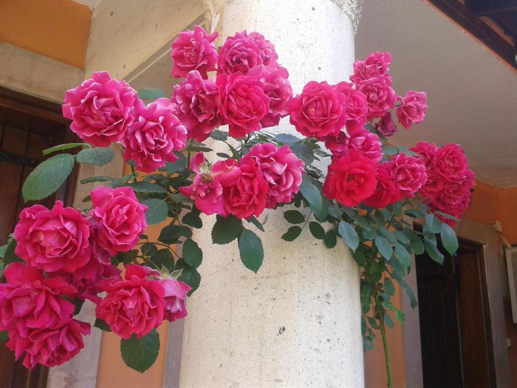 Akropolis Guest House Bergama Exterior photo